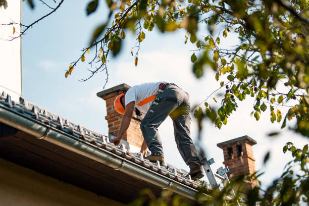 Best Storm Damage Roof Repair  in Collinsburg, PA