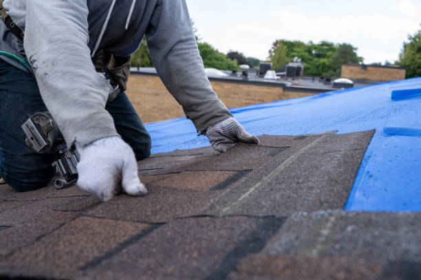 Best Roof Gutter Cleaning  in Collinsburg, PA