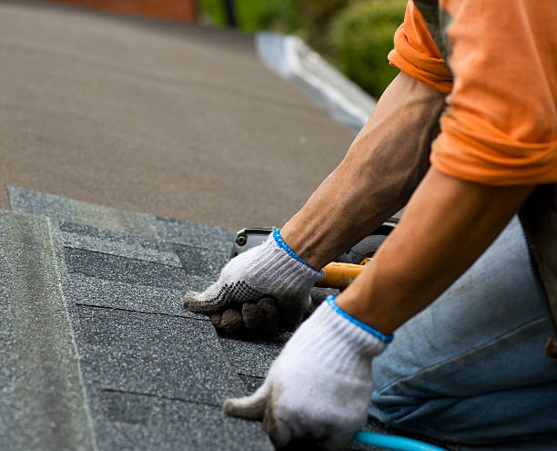 Best Roof Maintenance Services  in Collinsburg, PA
